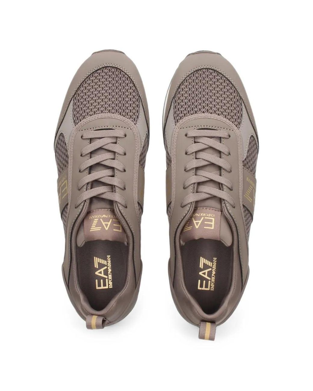 EA7 Brown Sneakers for men