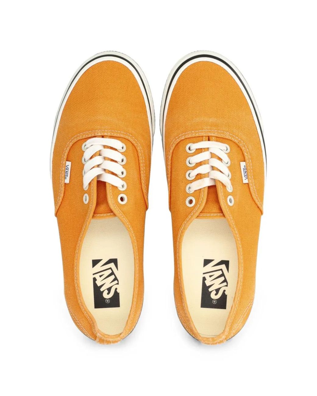 Vans White Authentic Sneakers