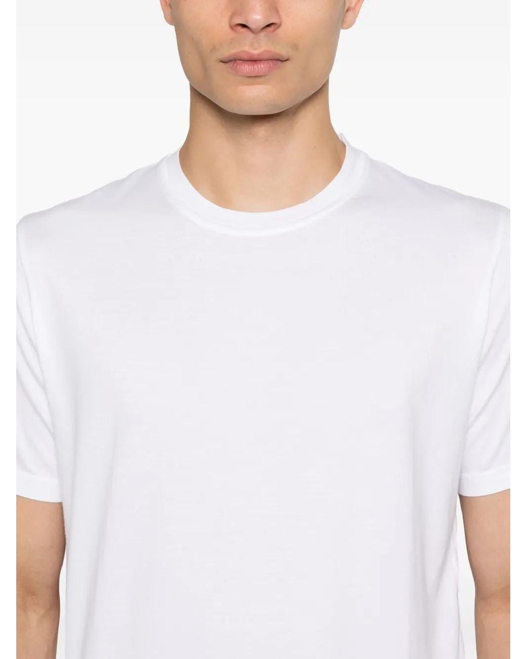 Fedeli White Cotton T-Shirt for men