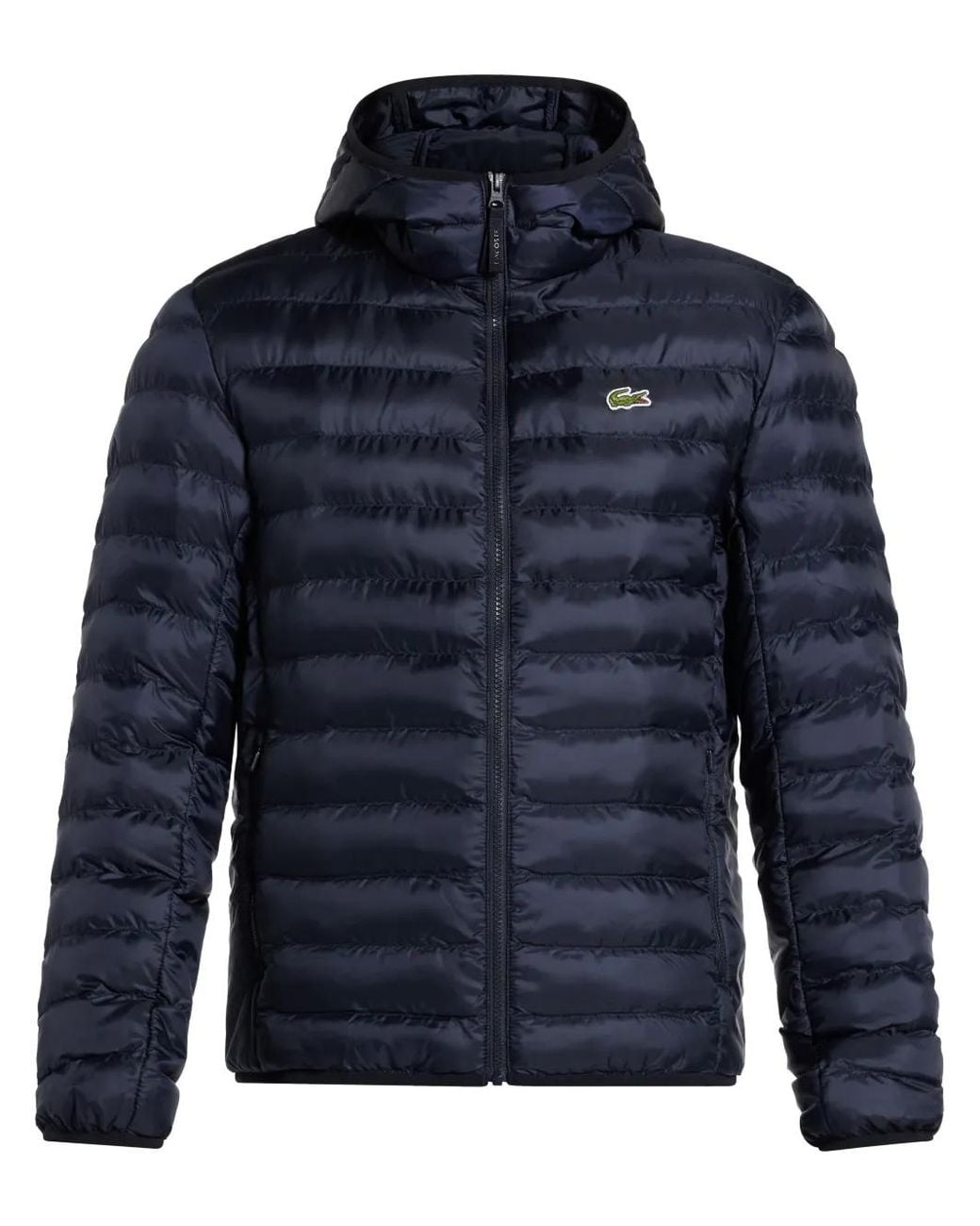 Lacoste Blue Water-Repellent Padded Jacket for men