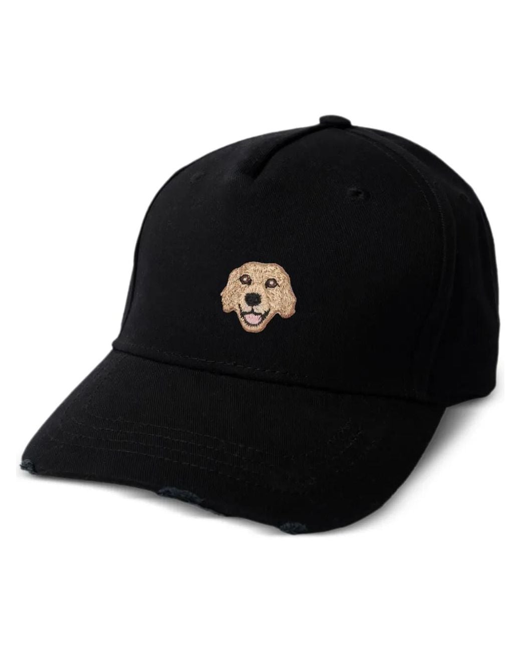 PELO FOUNDATION Black Labrador Cap