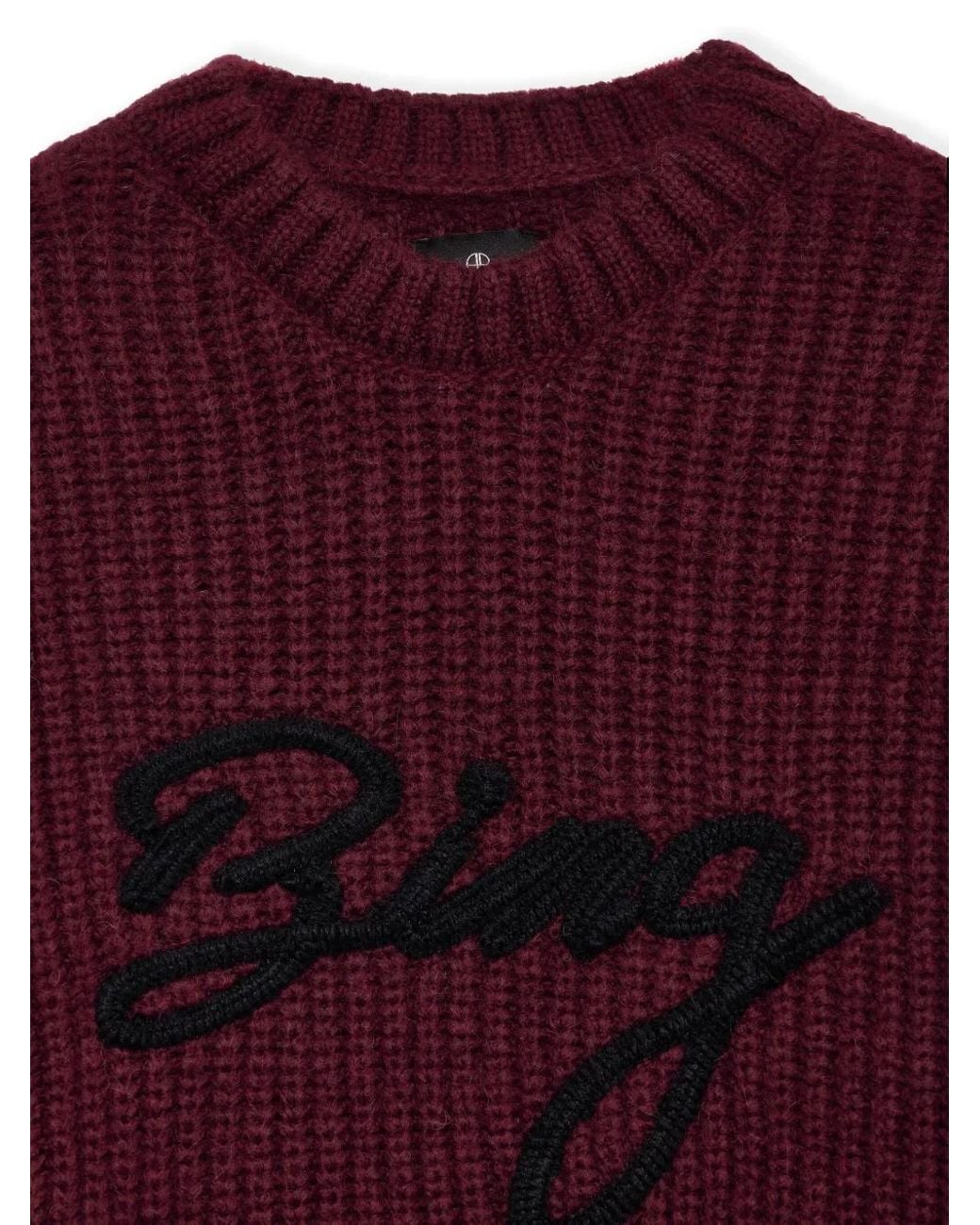 Pull Sydney Anine Bing en coloris Purple
