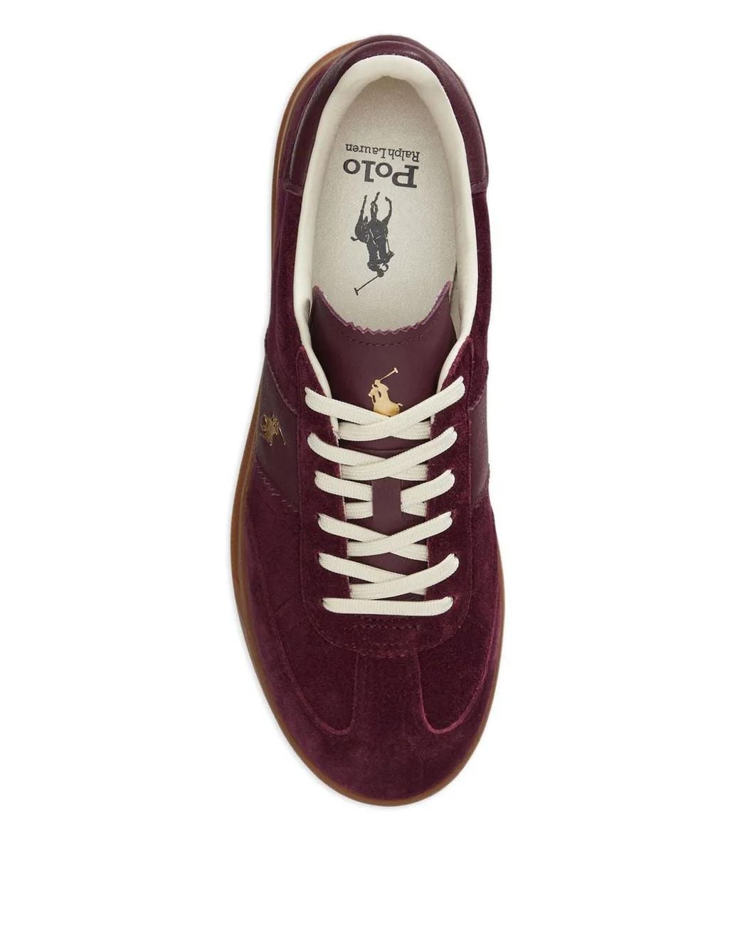 Polo Ralph Lauren Purple Polo Pony Sneakers for men