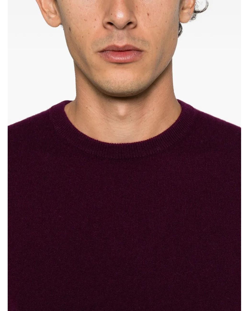 Mc2 Saint Barth Purple Regent Crew-Neck Sweater for men