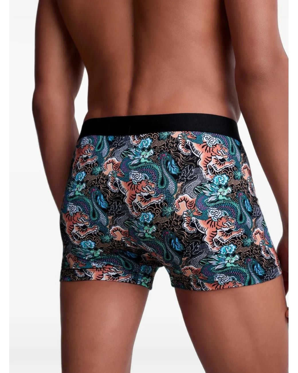 Aubade Tiger Dragon-Print Boxers in Blue for Men | Lyst