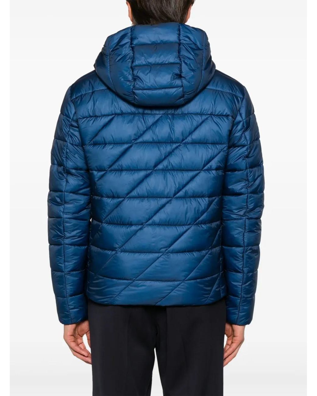 Boss Blue Padded Jacket for men