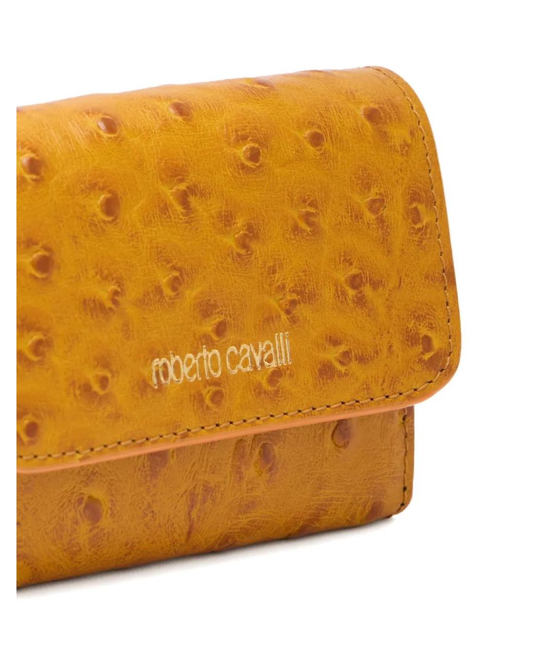 Roberto Cavalli Orange Kartenetui Mit Straußen-Effekt