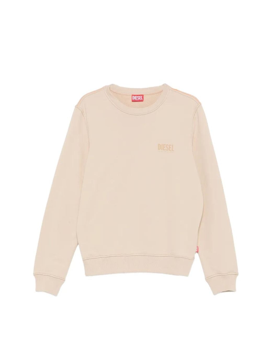 DIESEL Natural Logo Sweatshirt for men