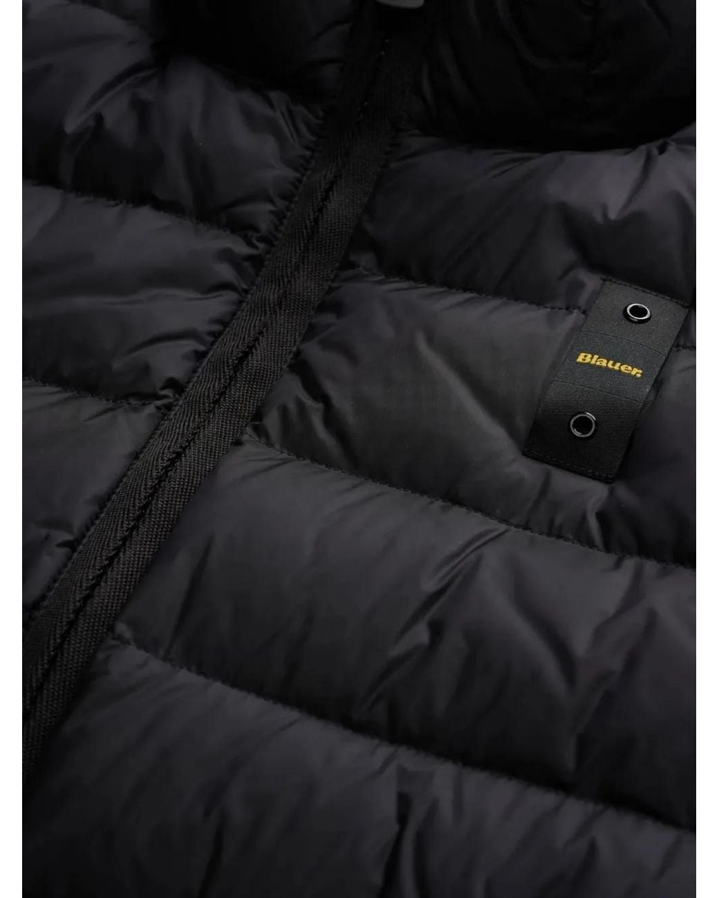 Blauer Gesteppte Jacke Mit Logo-Patch in Black für Herren