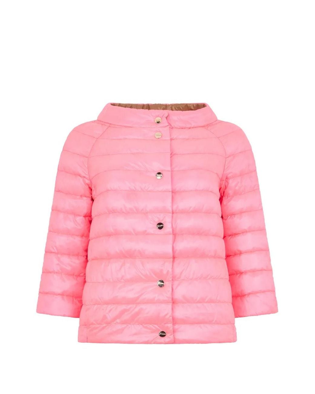 Herno Brown Quilted Button-Fastening Jacket