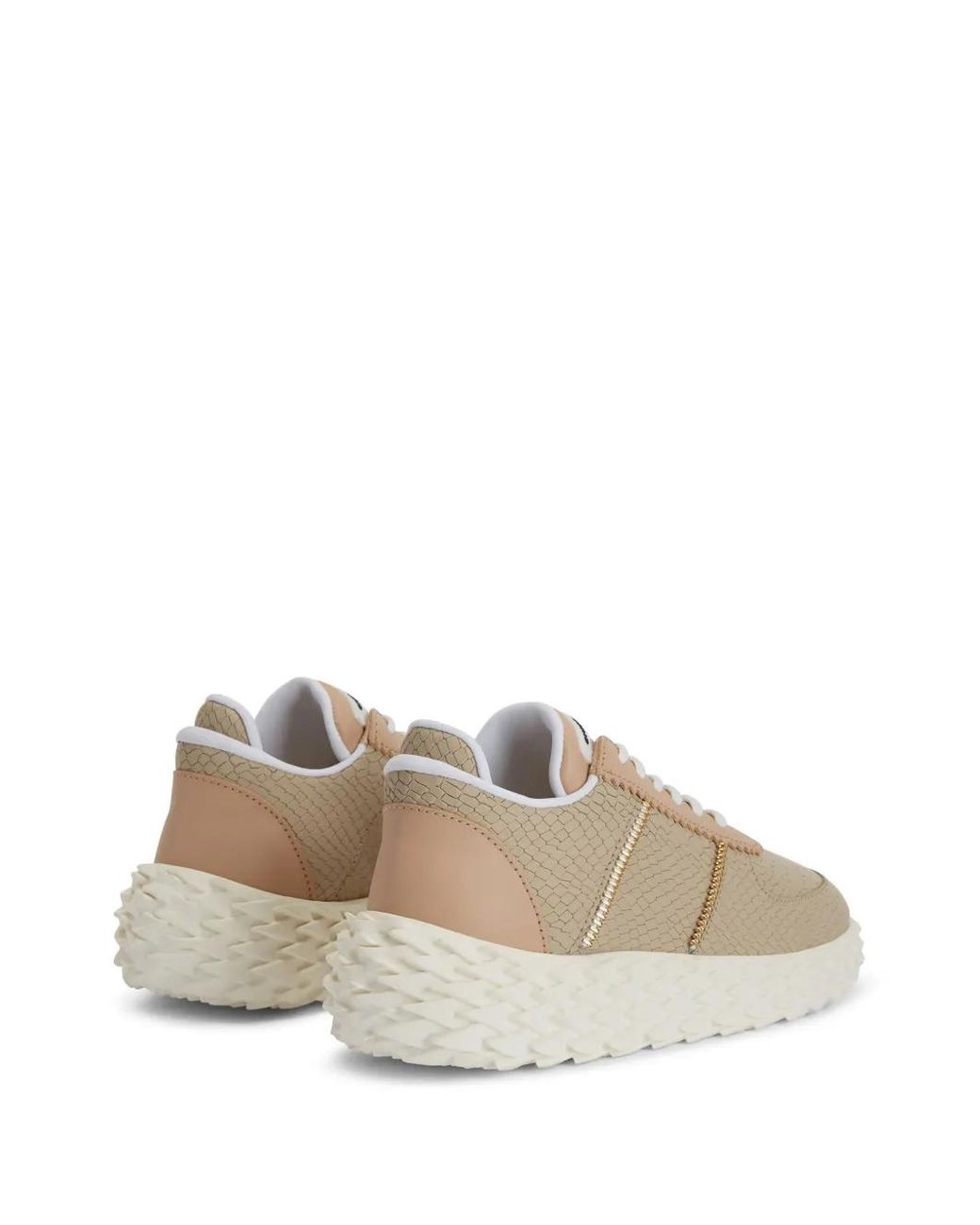 Giuseppe Zanotti Natural Urchin