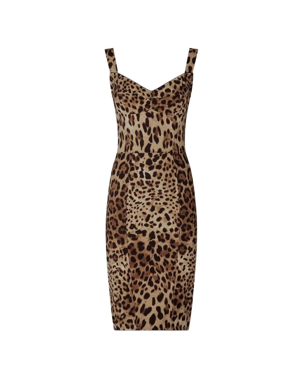 Dolce & Gabbana Natural Brown Leopard Print Midi Dress - Women's - Silk/polyamide/polyester/spandex/elastanespandex/elastane