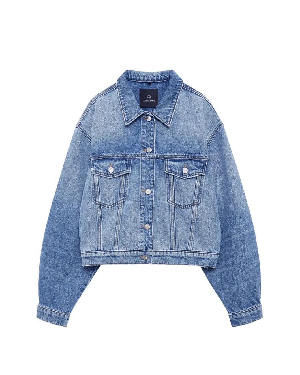 Anine Bing Blue Quincy Jacket