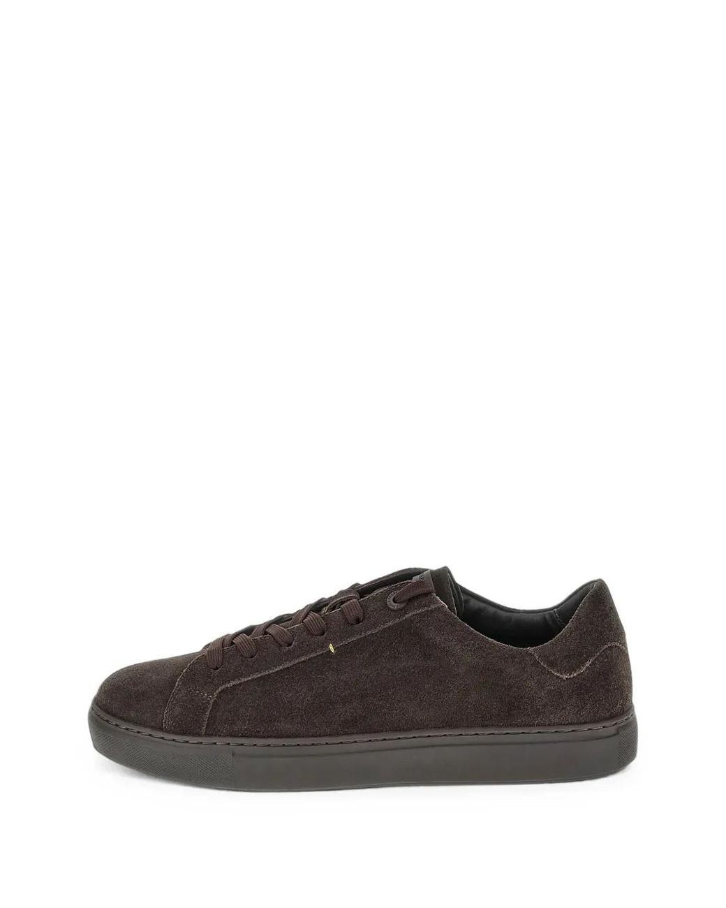 Paul & Shark Brown Suede Low-Top Sneakers for men