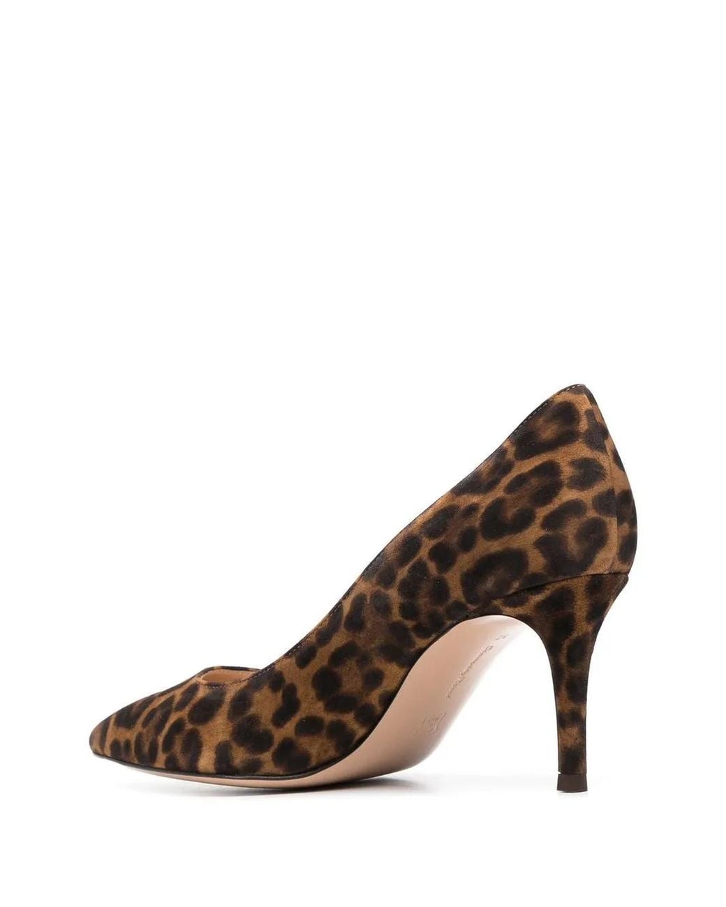 Gianvito Rossi Brown Shoes Camoscio Leopard Almond