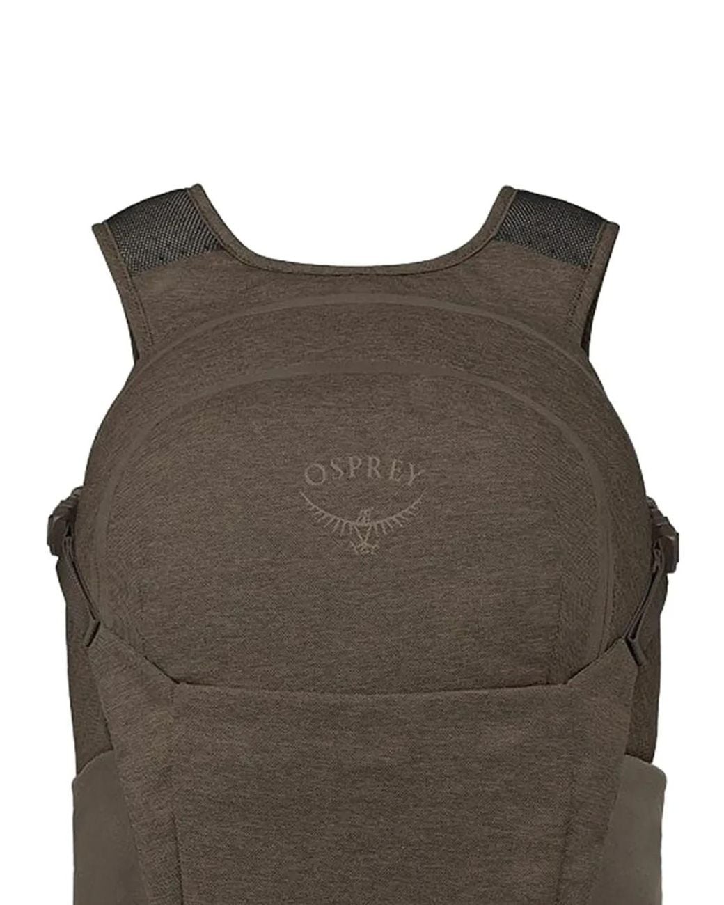 Osprey Brown Daylite Plus Driftshade Backpack