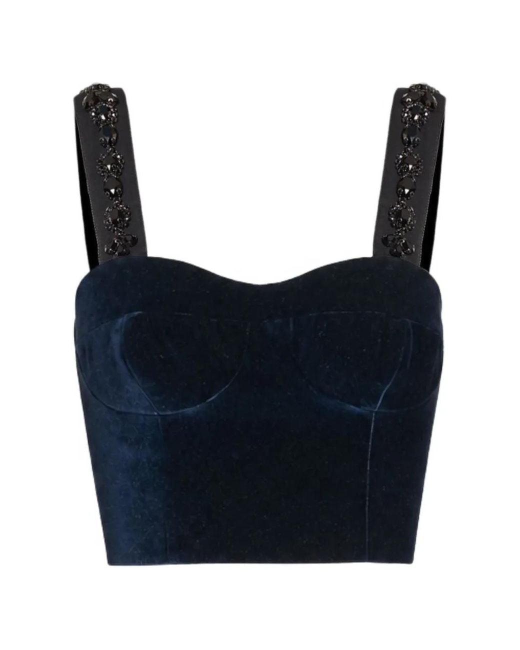 Erdem Blue Embroidered Velvet Bralette Top