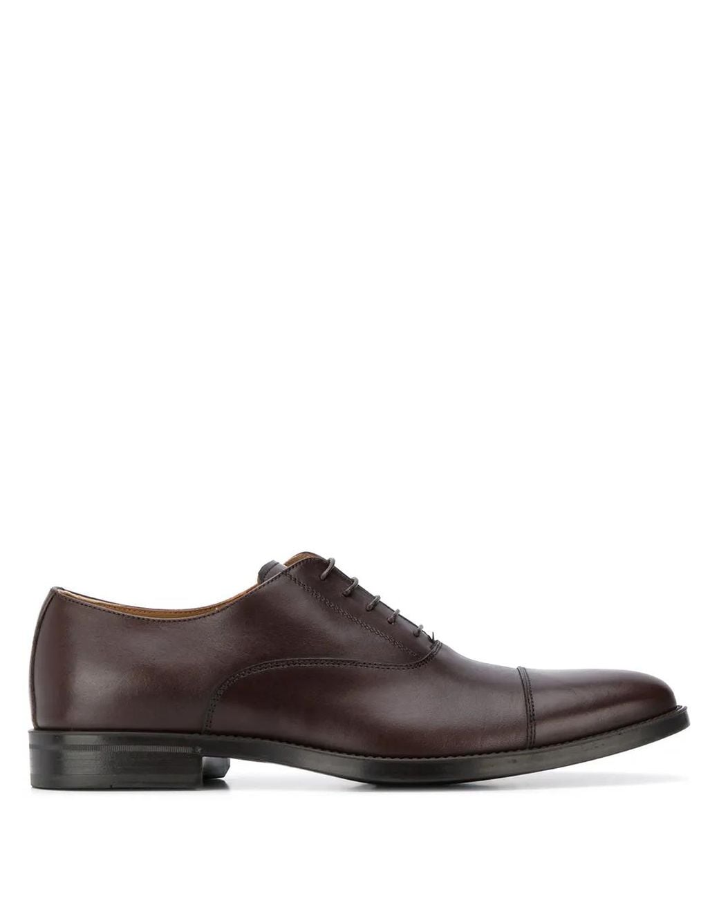 Scarosso Brown Oxford Shoes for men