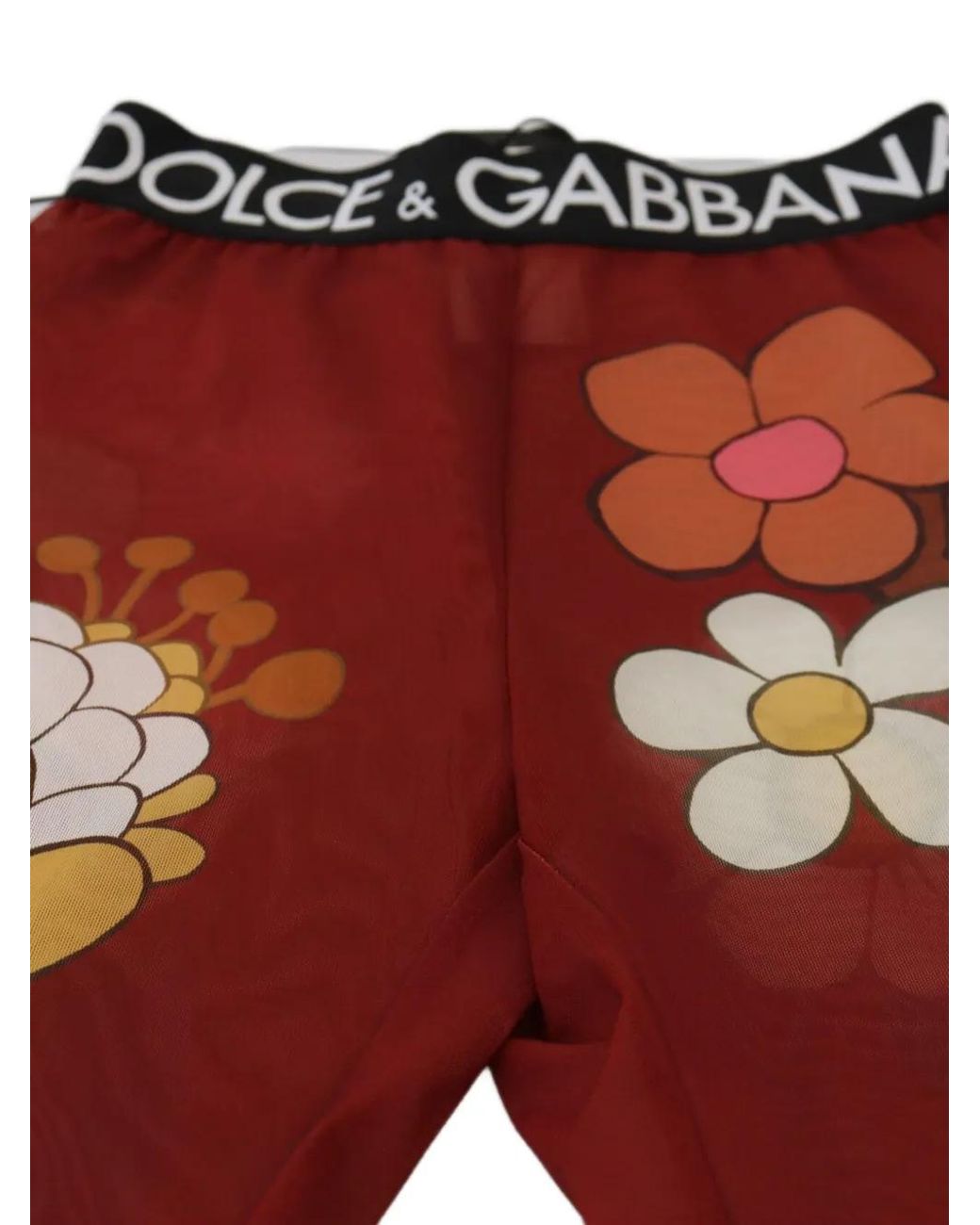 Dolce & Gabbana Red Floral-Print Mesh Leggings