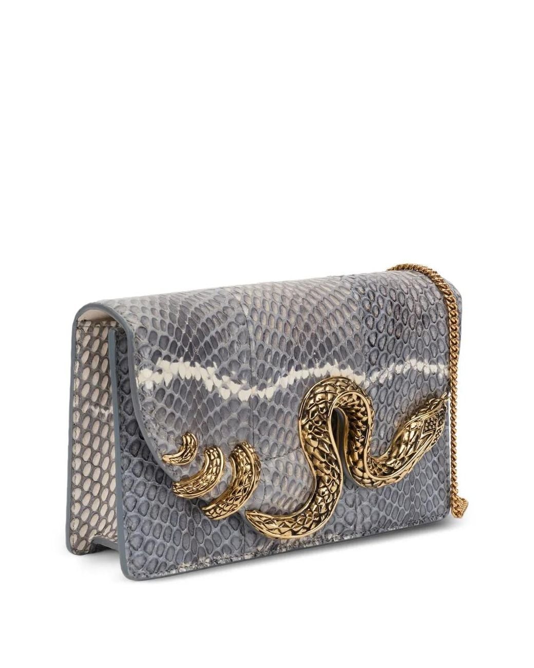 Clutch di Roberto Cavalli in Gray