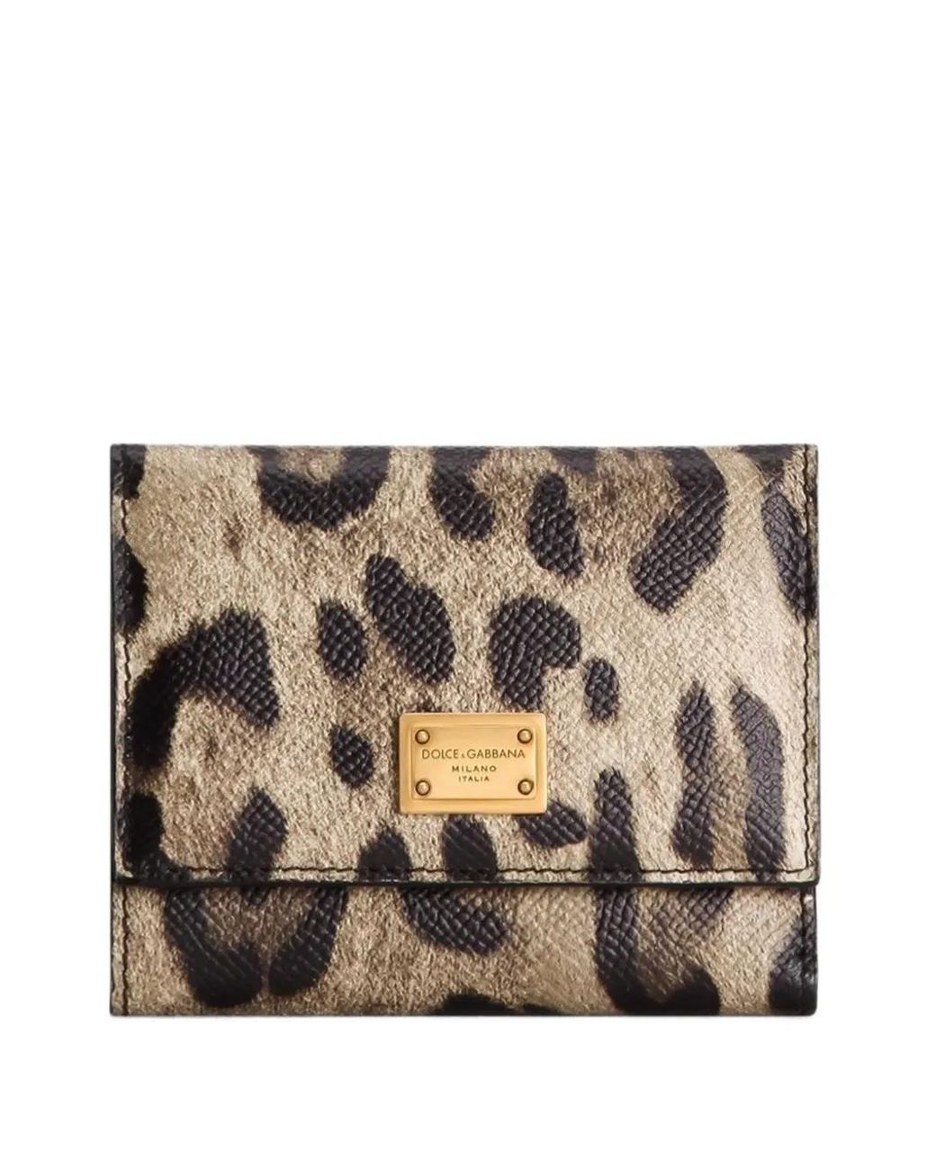 Dolce & Gabbana Brown Dolce & Gabbana Leopard-Print Wallet