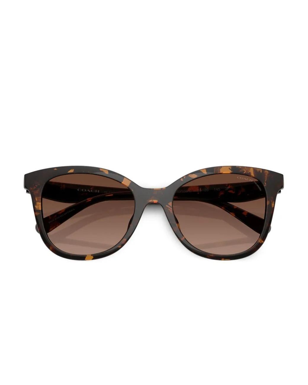 COACH Brown Logo-Plaque Sunglasses
