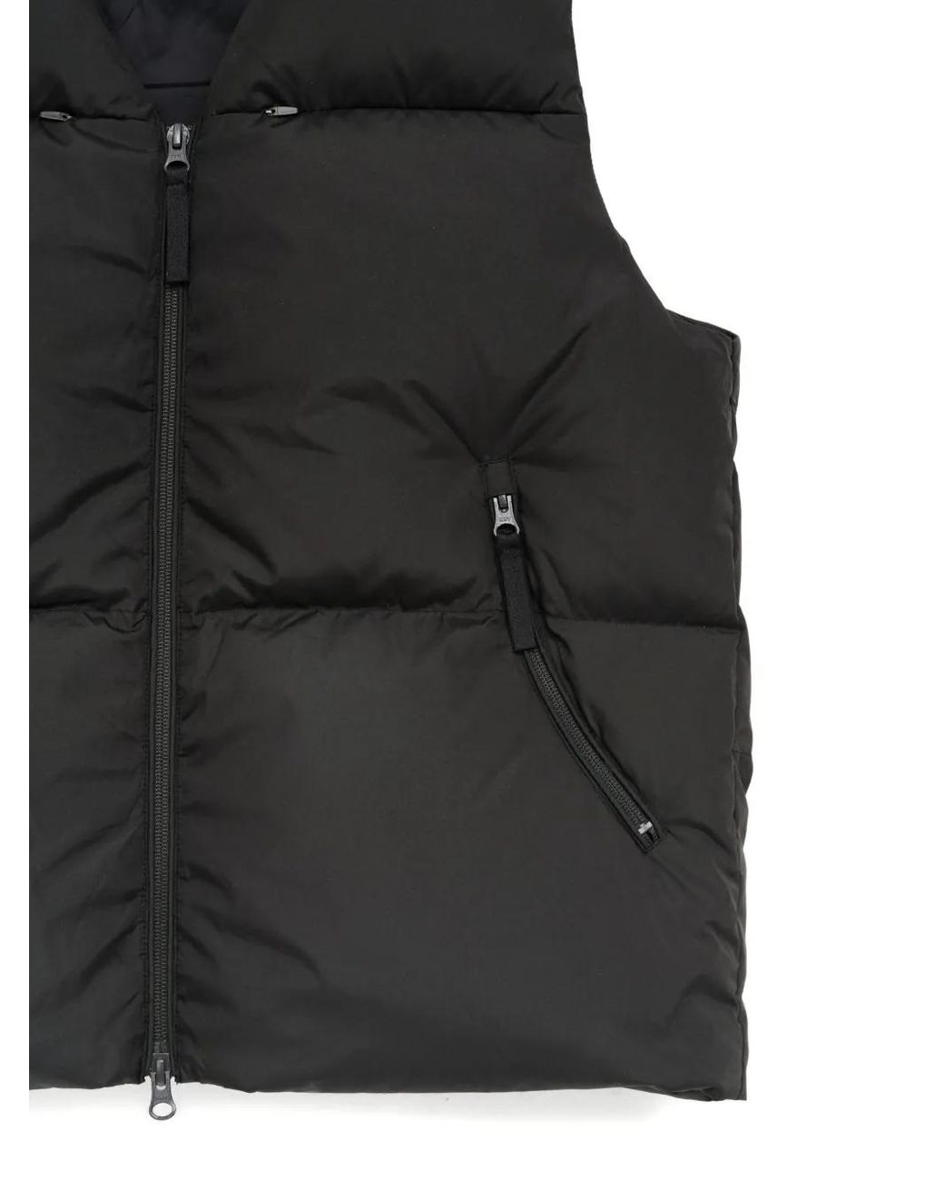 Hiking Patrol Black Element Quilted Gilet for men