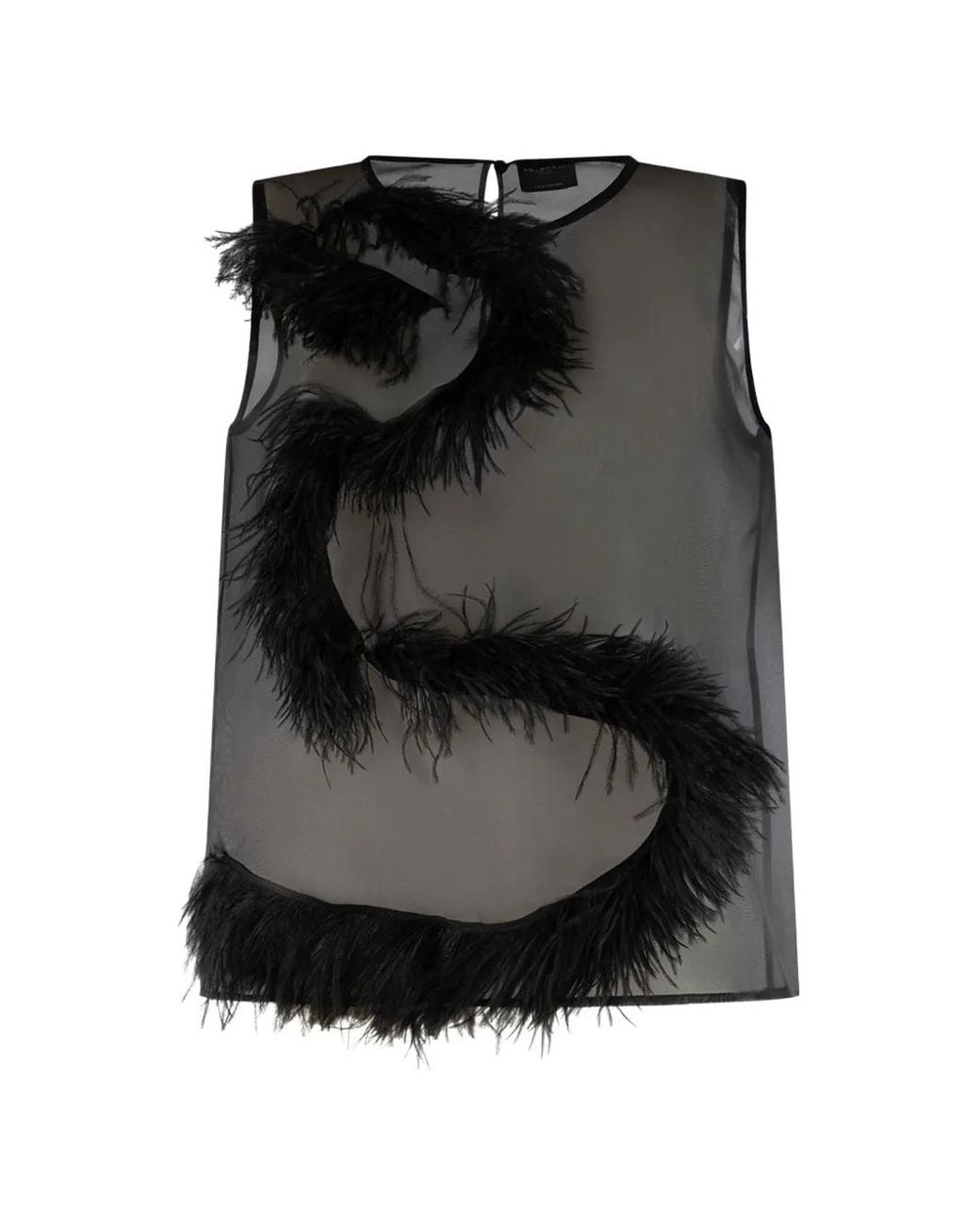 Antonelli Black Feather-Trim Sheer Top