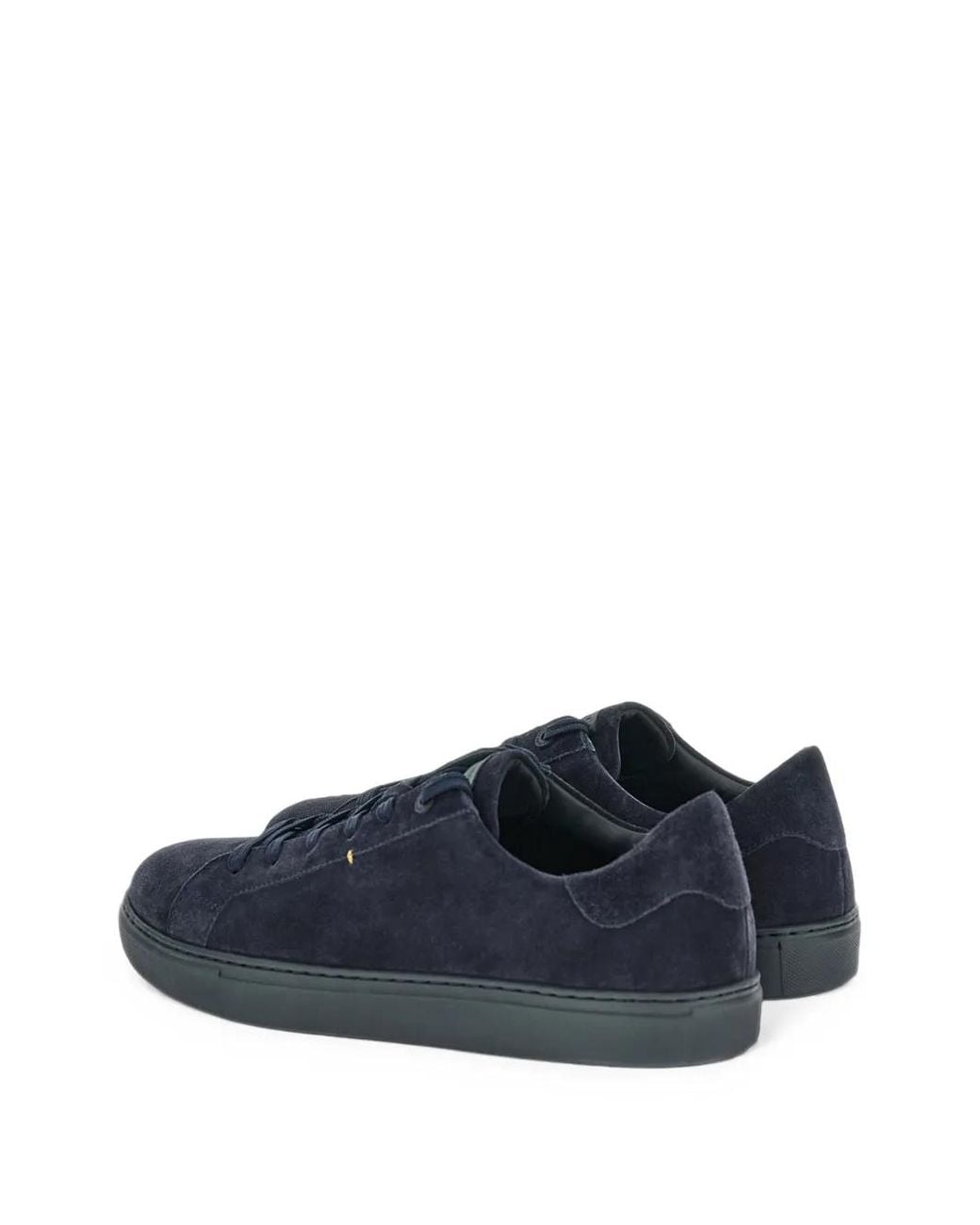 Paul & Shark Blue Suede Sneakers for men