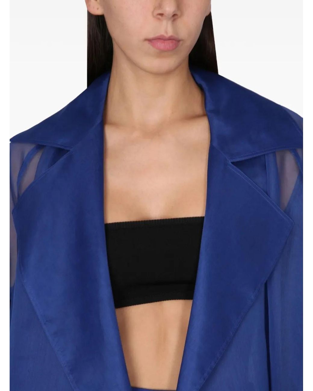 Max Mara Blue Sheer Top