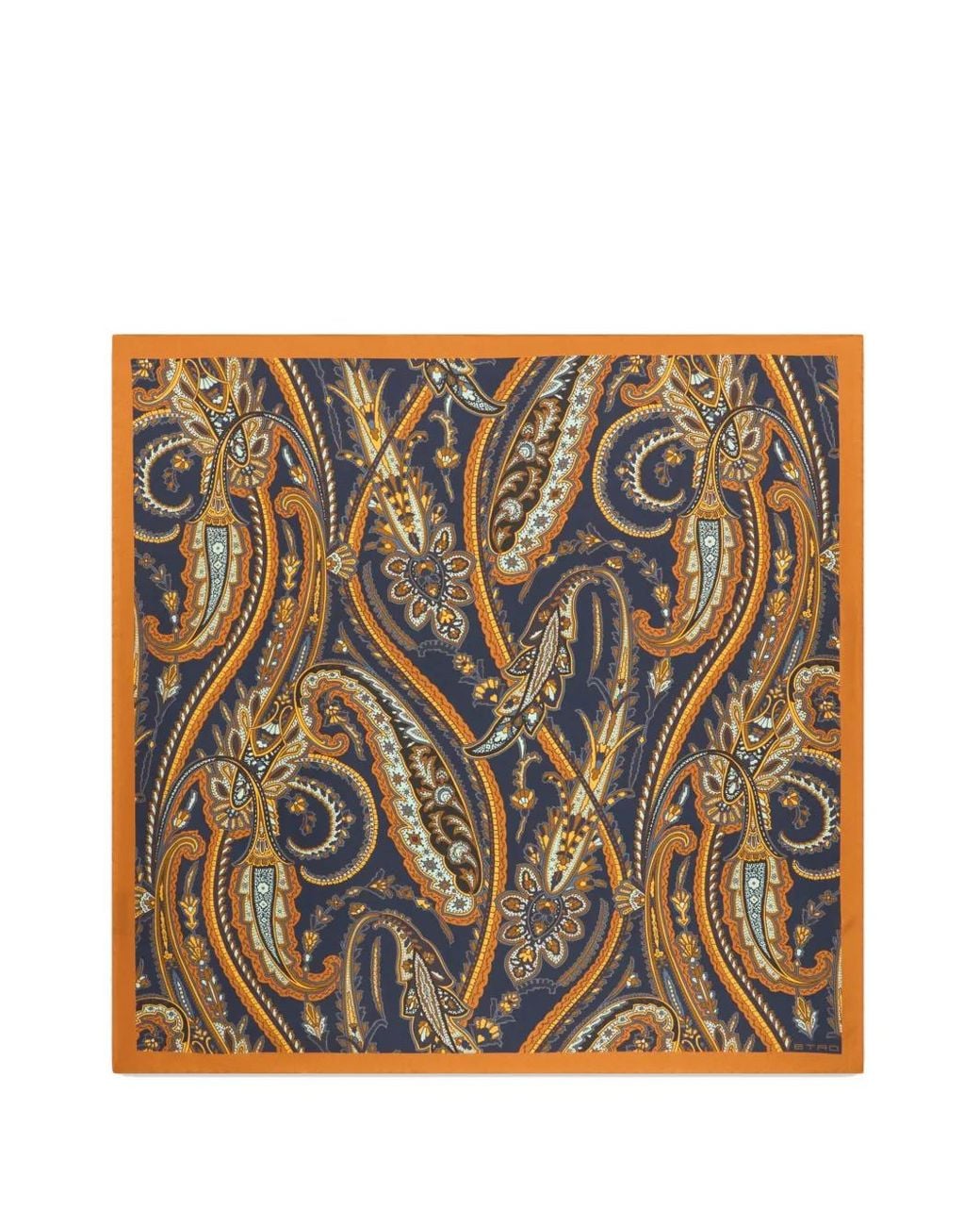 Etro Metallic Silk Scarf With Paisley Motif