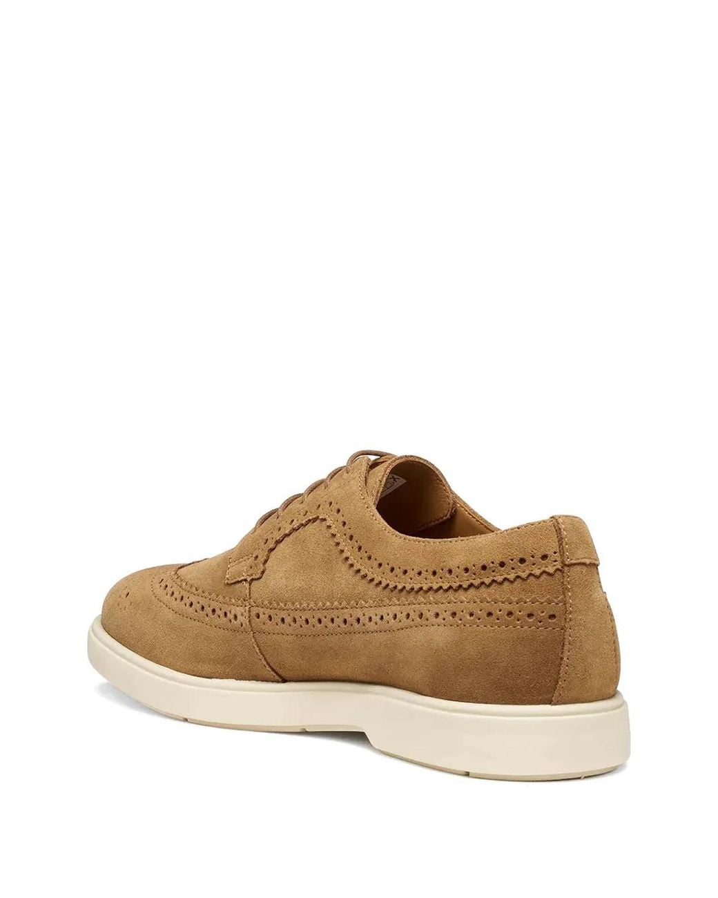 Geox Brown Spherica Ec17 Brogue-Detail Lace-Up Shoes for men