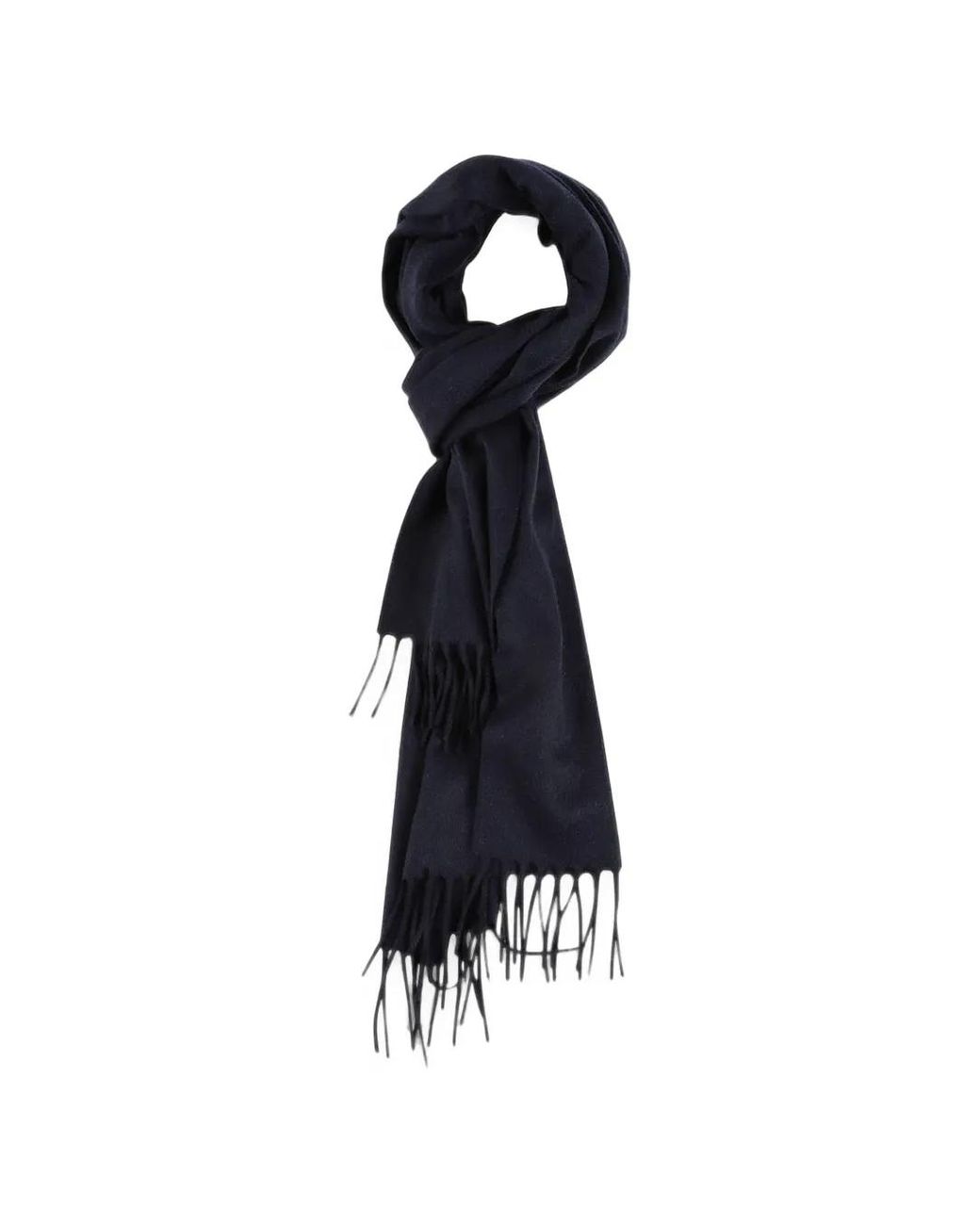 Lardini Blue Fringed Cashmere Scarf for men