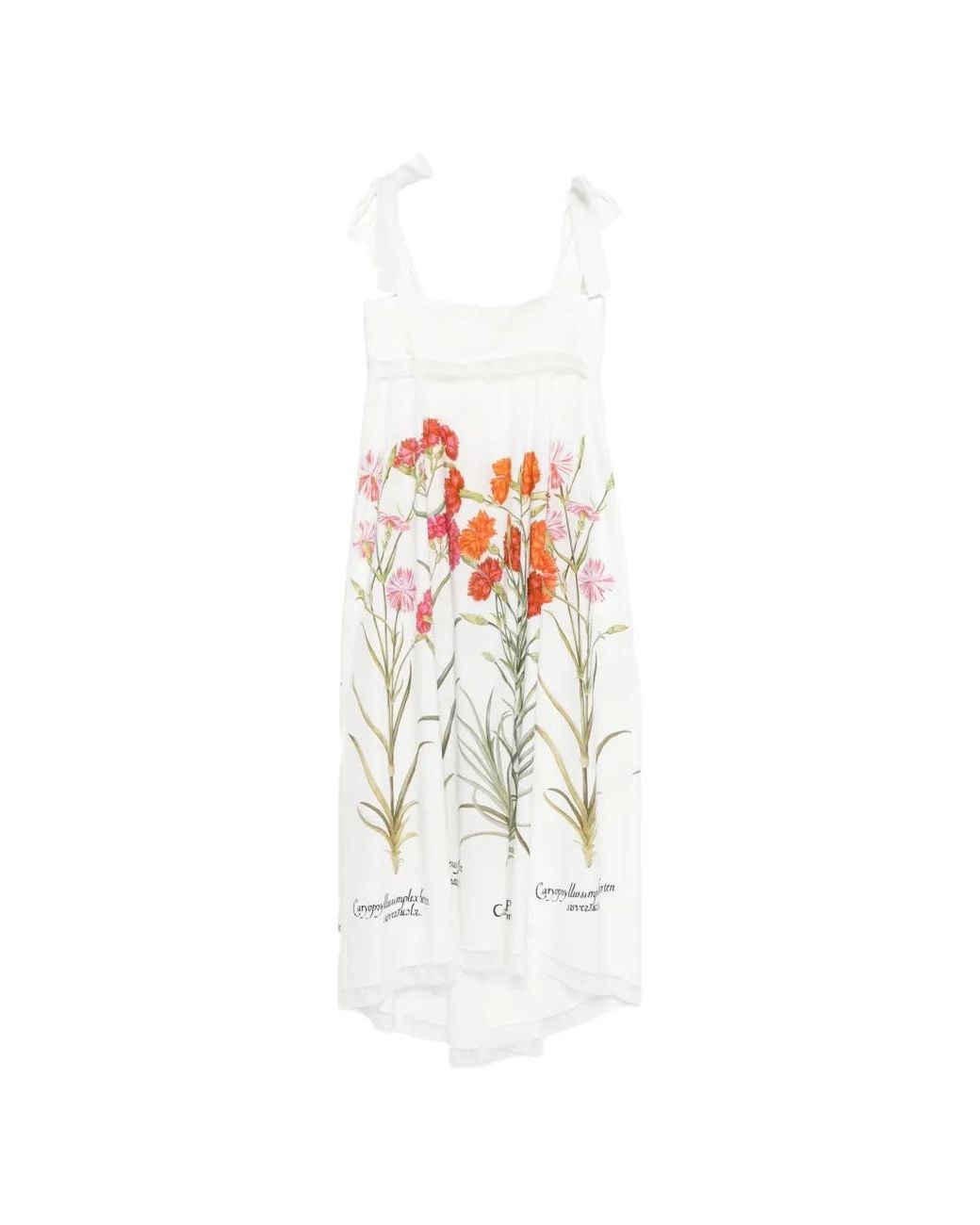 Alberta Ferretti White Printed Cotton Dress