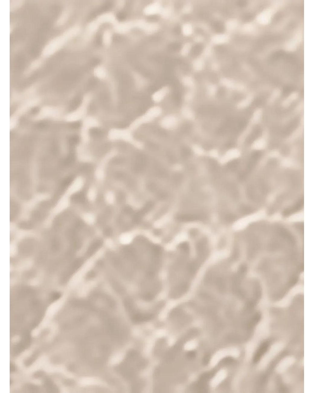 Stella McCartney Natural Ryder Zipper Cardholder