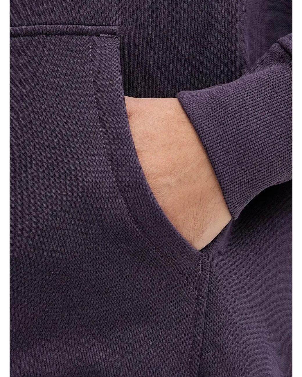The North Face Purple Raglan Nse Box Hoodie for men