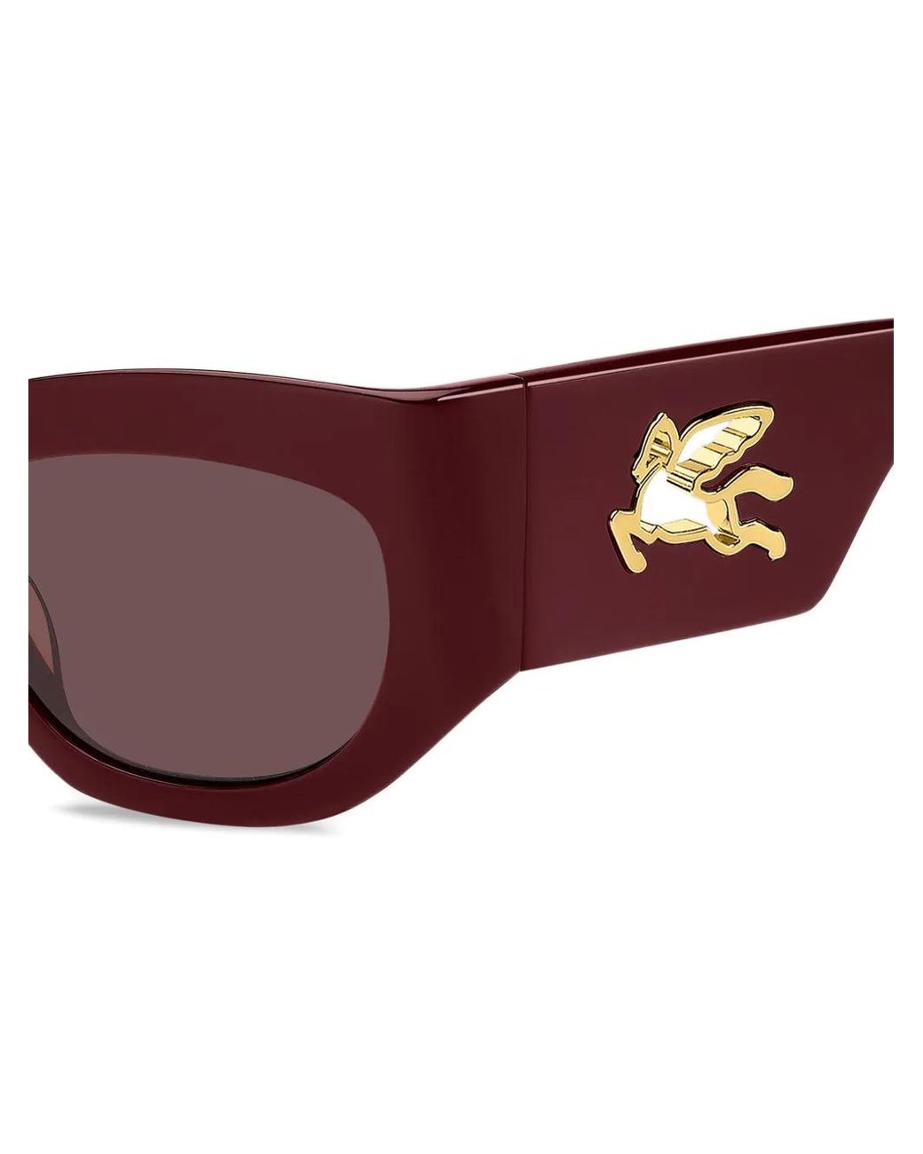 Etro Brown Mania Sunglasses