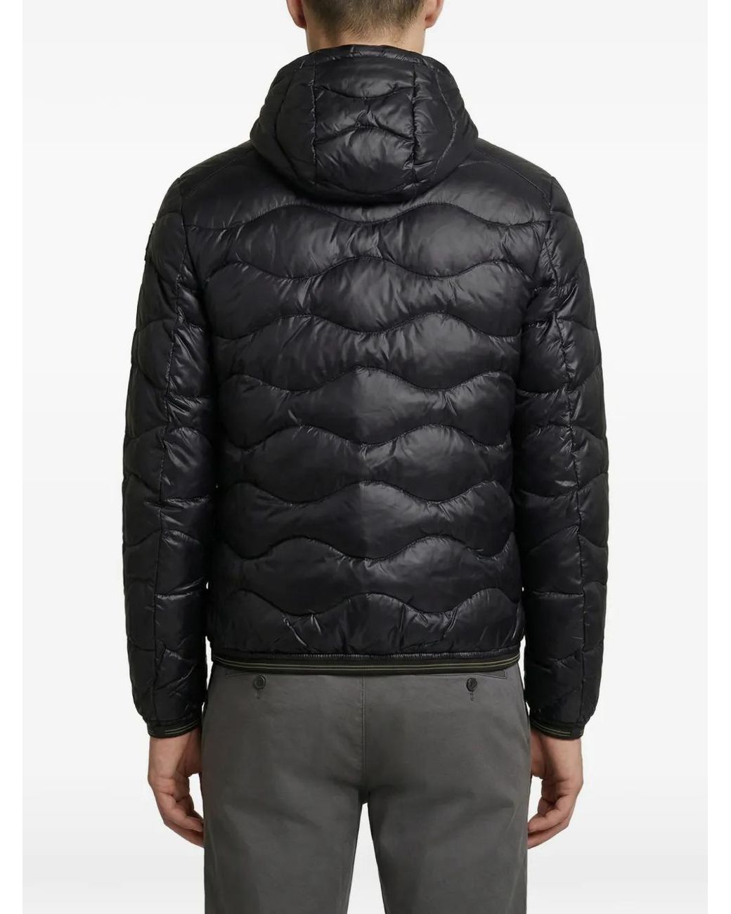 Blauer Black Quilted Jacket for men