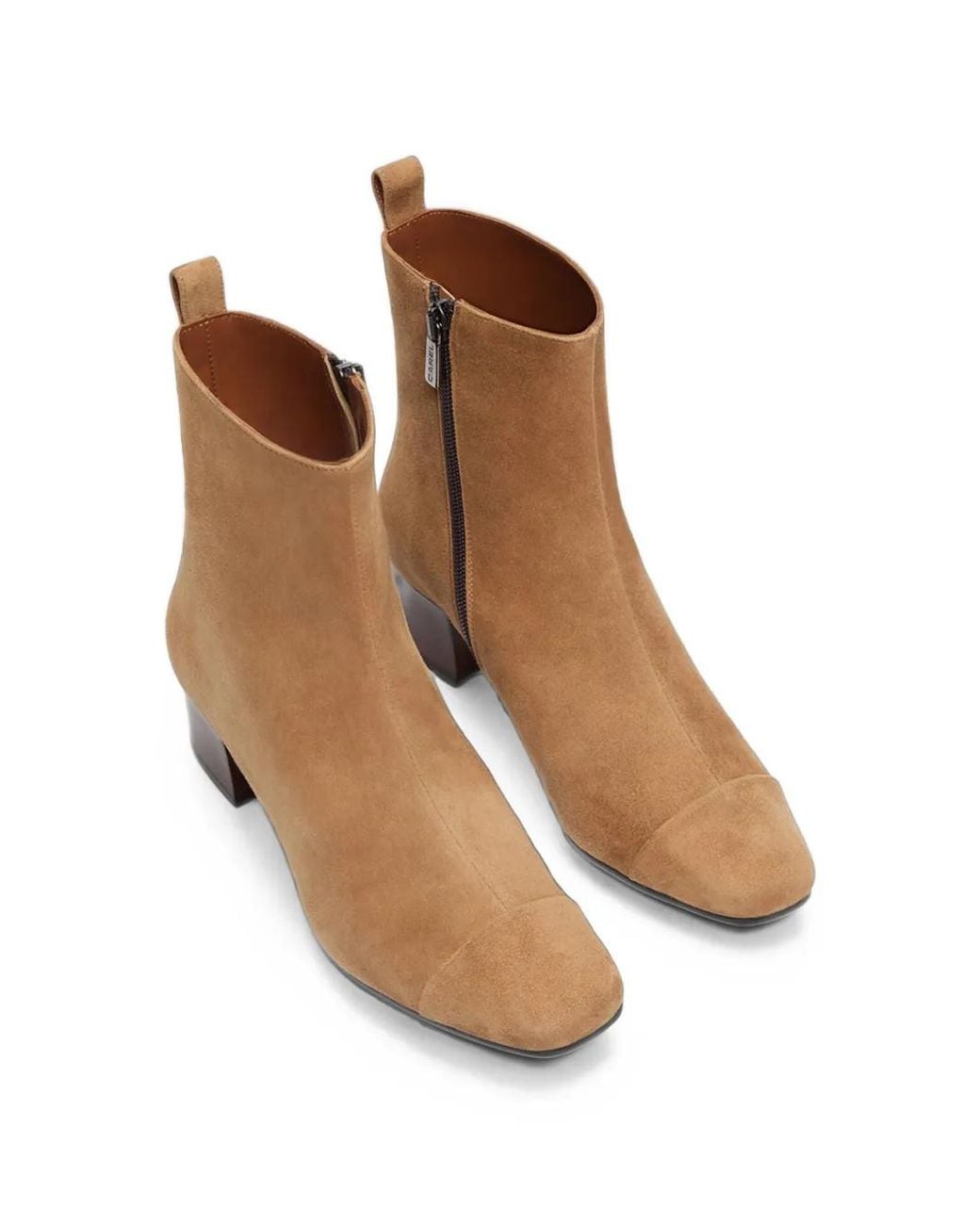 CAREL PARIS Brown Bottines Estime À Bout Carré