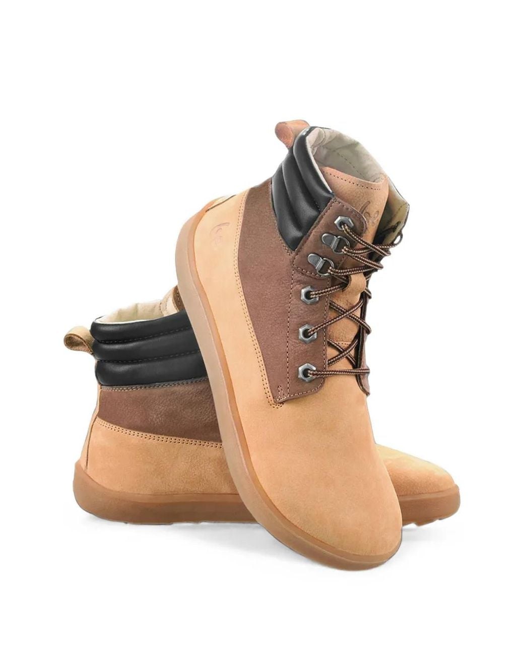 Be Lenka Brown Panelled Sneakers