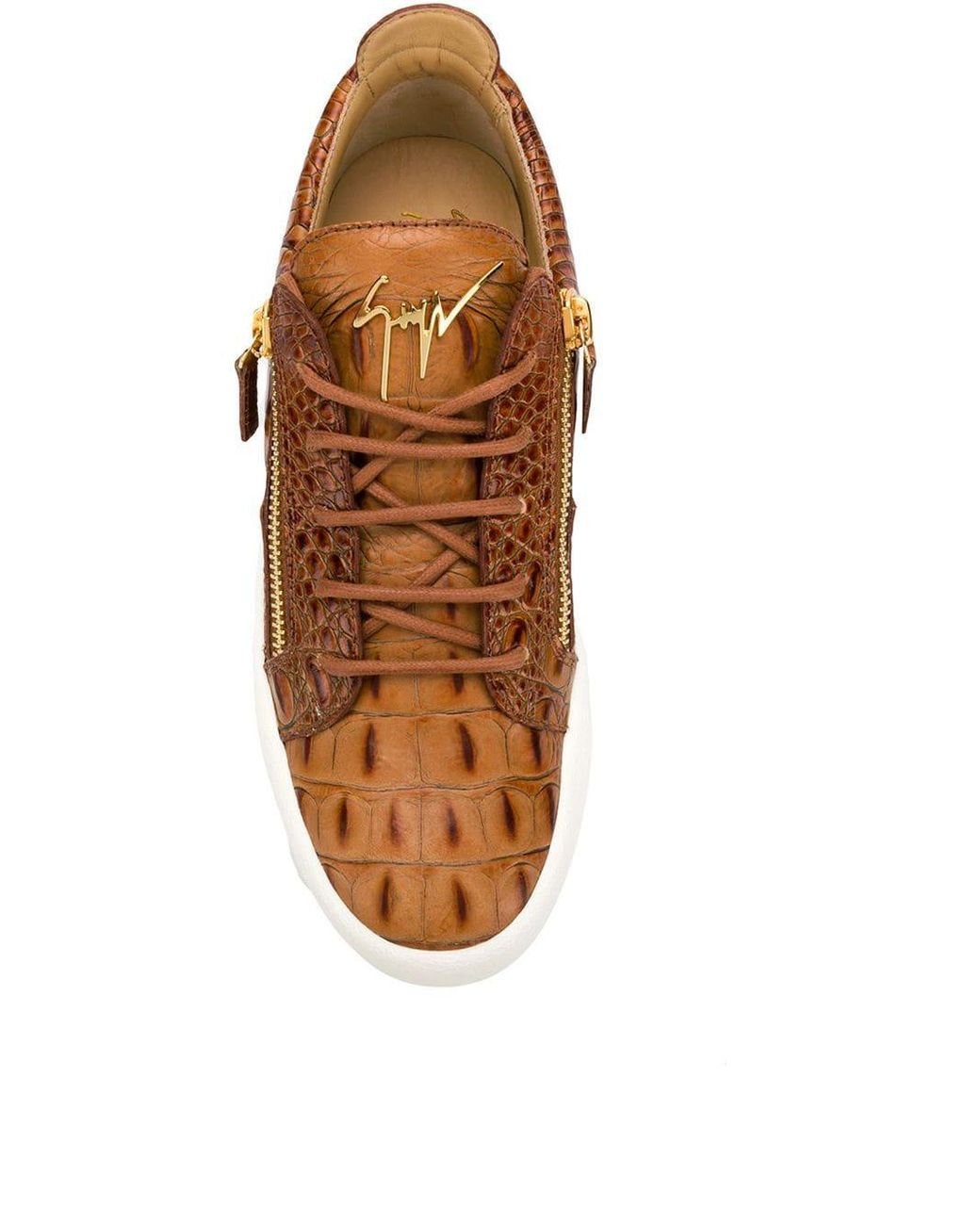 Giuseppe Zanotti Kriss Crocodile Effect Sneakers in Brown for Men Lyst