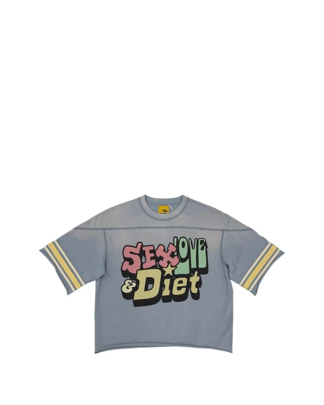DIET STARTS MONDAY Gray Sl&D Graphic-Print Striped-Sleeve T-Shirt for men