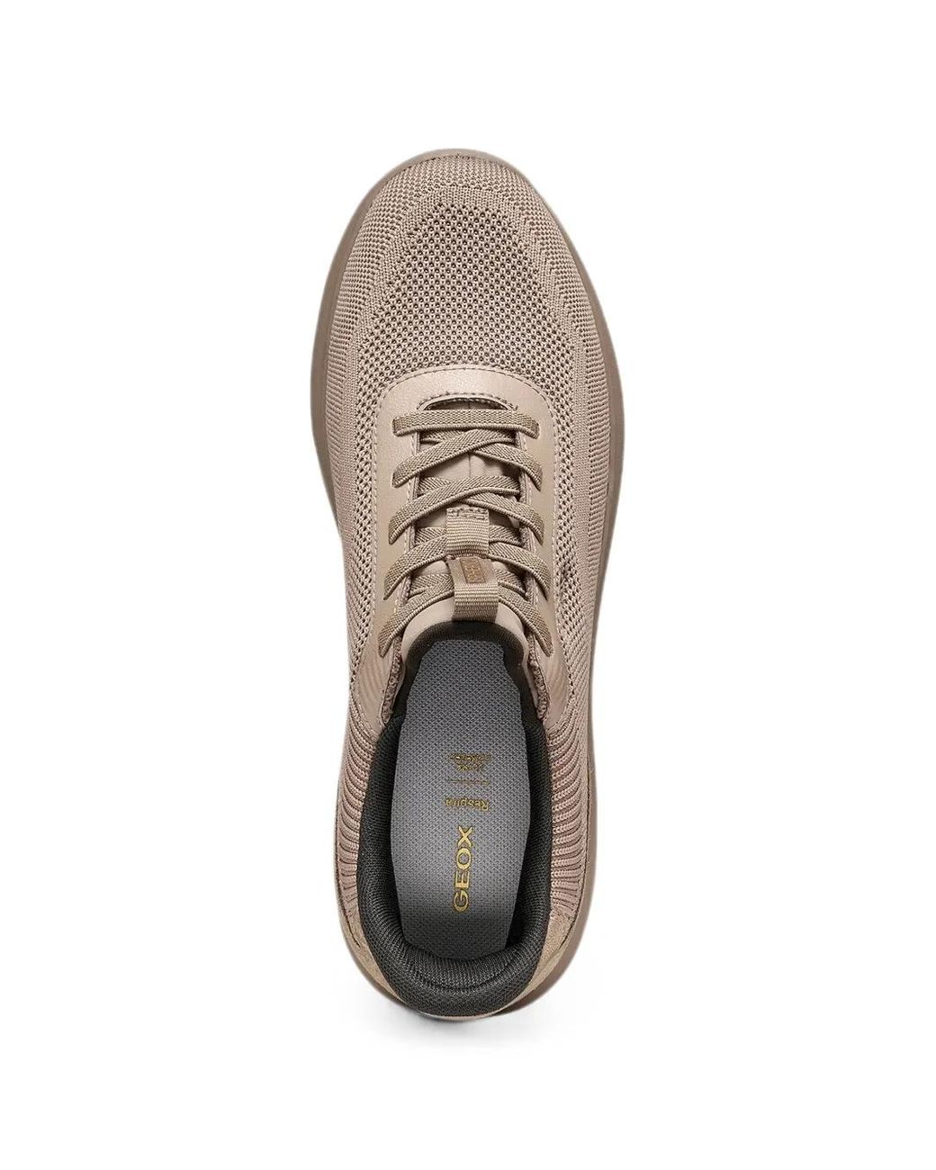 Geox Brown Spherica Panelled Knit Sneakers