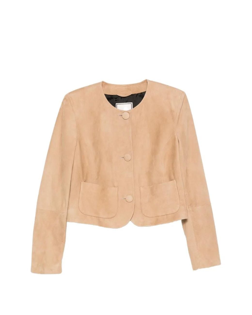 Tagliatore Betta Cropped Jack Met Knopen in het Natural