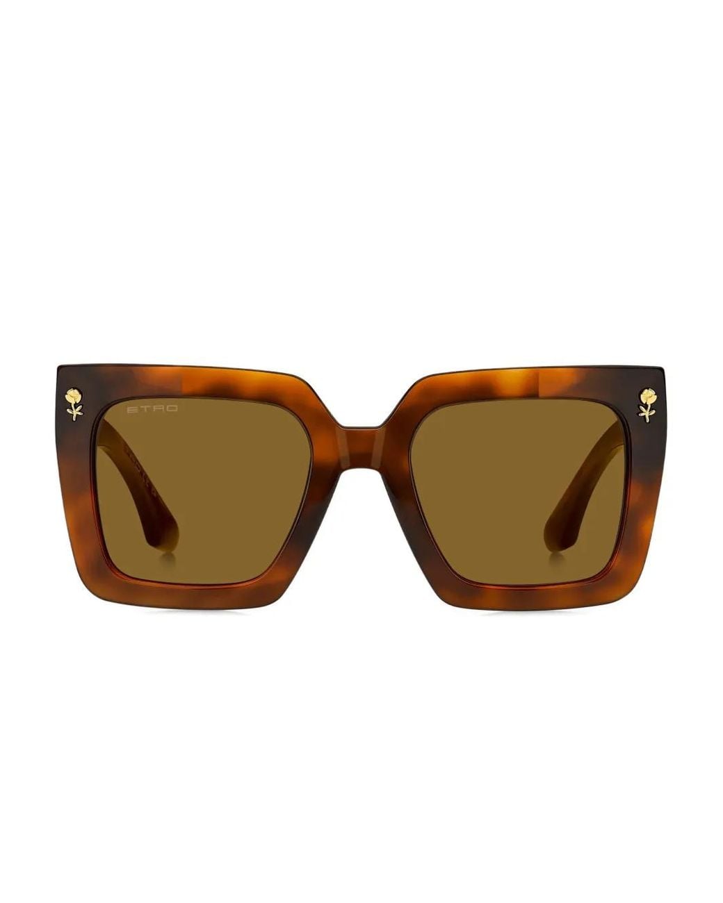 Etro Brown Colourstripes Sunglasses