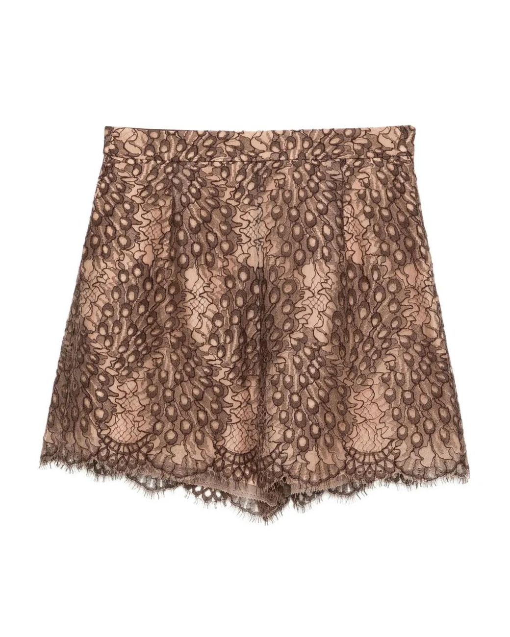 Shiatzy Chen Brown Scape-Of-Curve Lace-Print Shorts