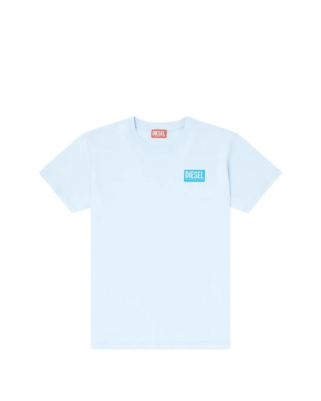 DIESEL Blue 'T-Normy-S6' T-Shirt
