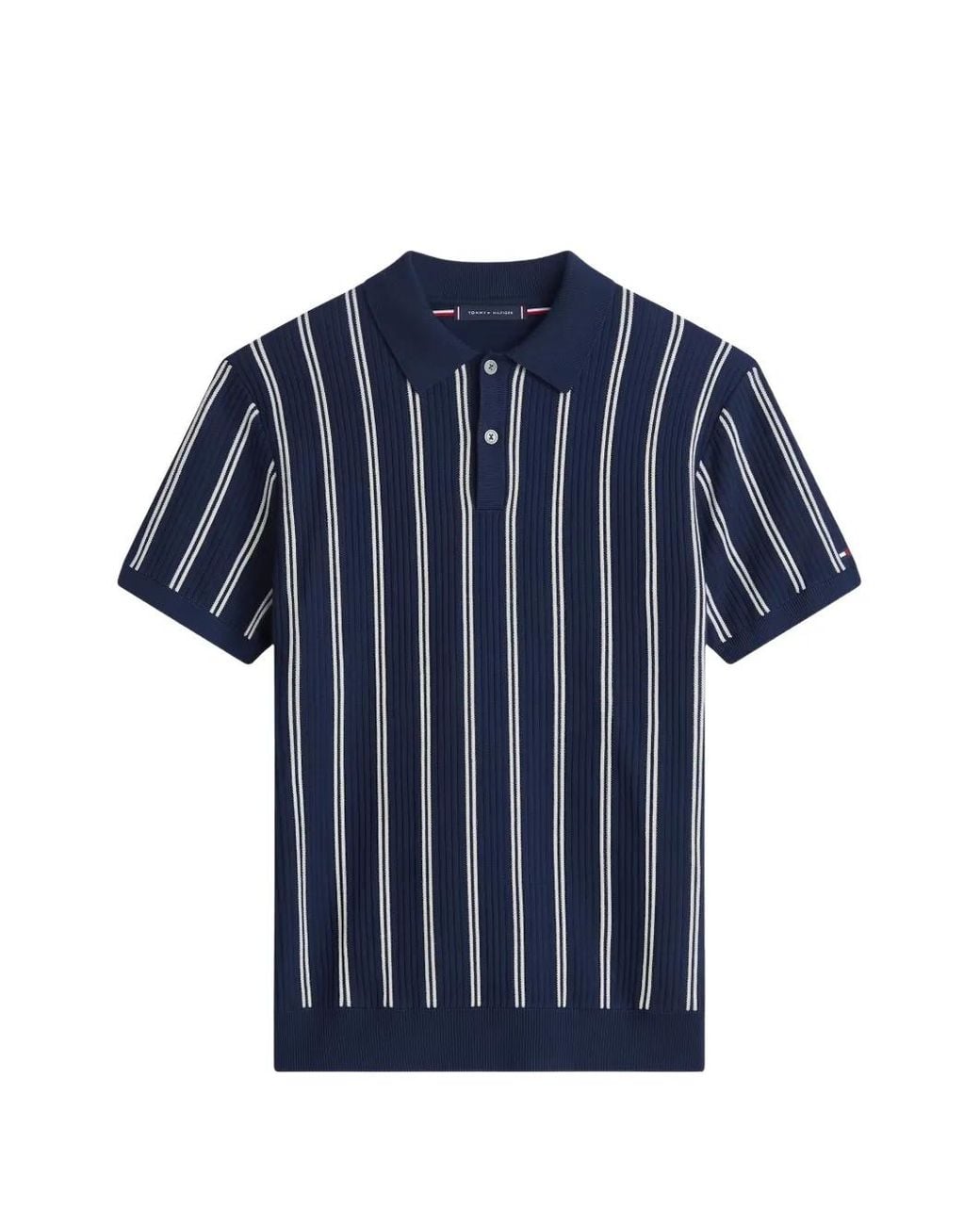 Tommy Hilfiger Blue Vertical-Stripe Knitted Polo Shirt for men