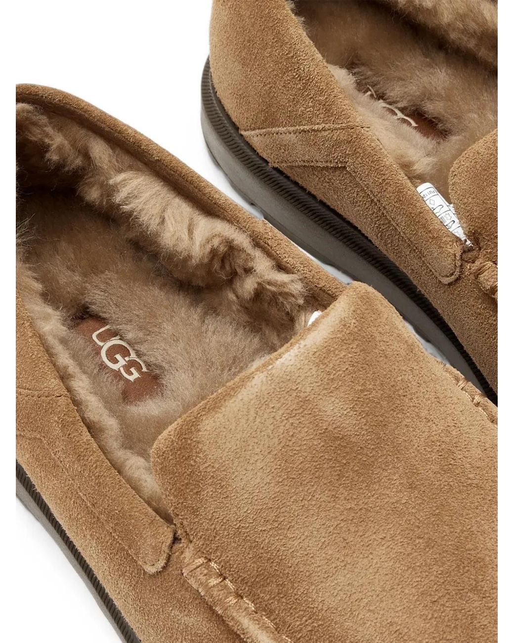Ugg Brown Shep Suede Loafers for men