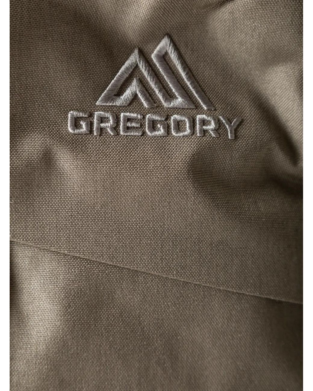 Gregory Brown Outset 22L Logo-Embroidered Backpack